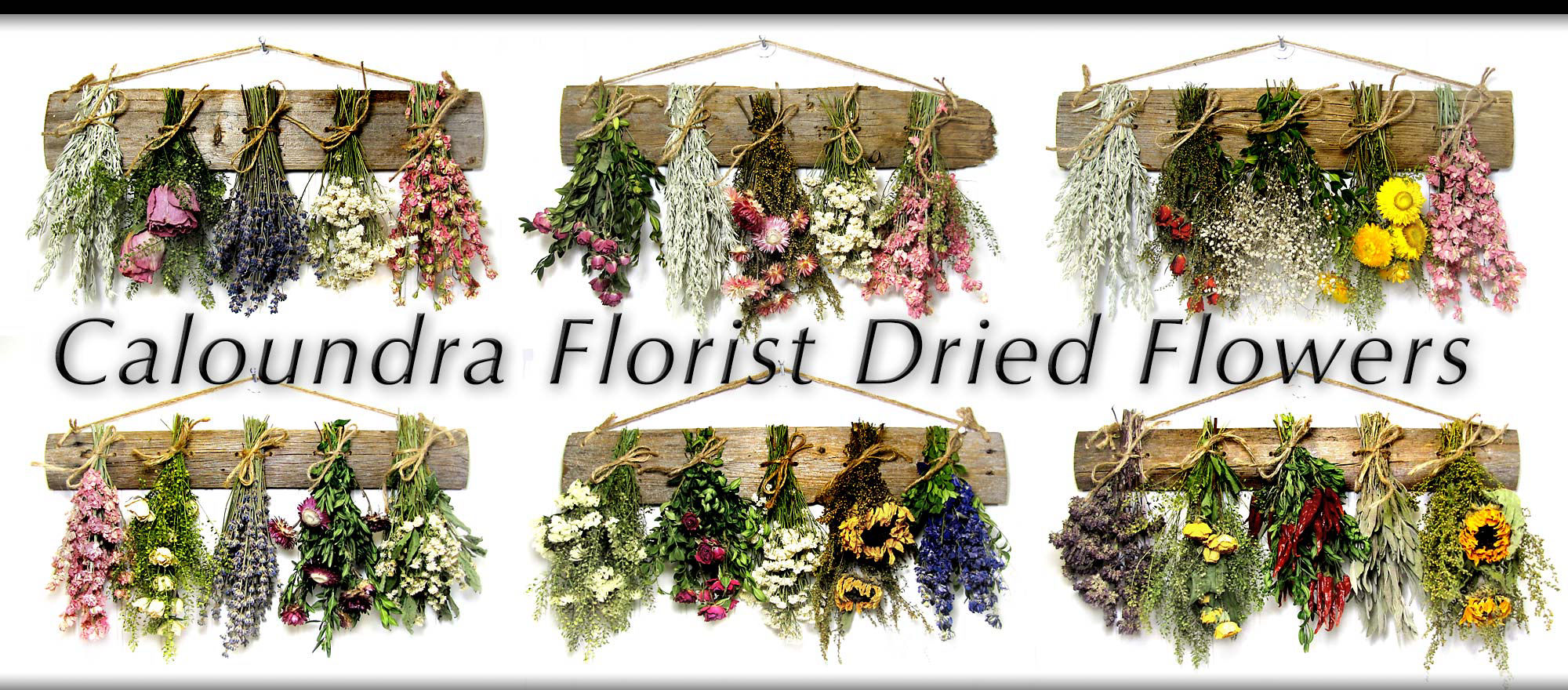 CALOUNDRA FLORIST DRIED FLOWERS